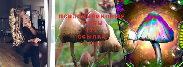 мдпв Беломорск