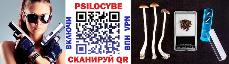 Купить закладки  Белоозёрский  Псилоцибиновые грибы мицелий 